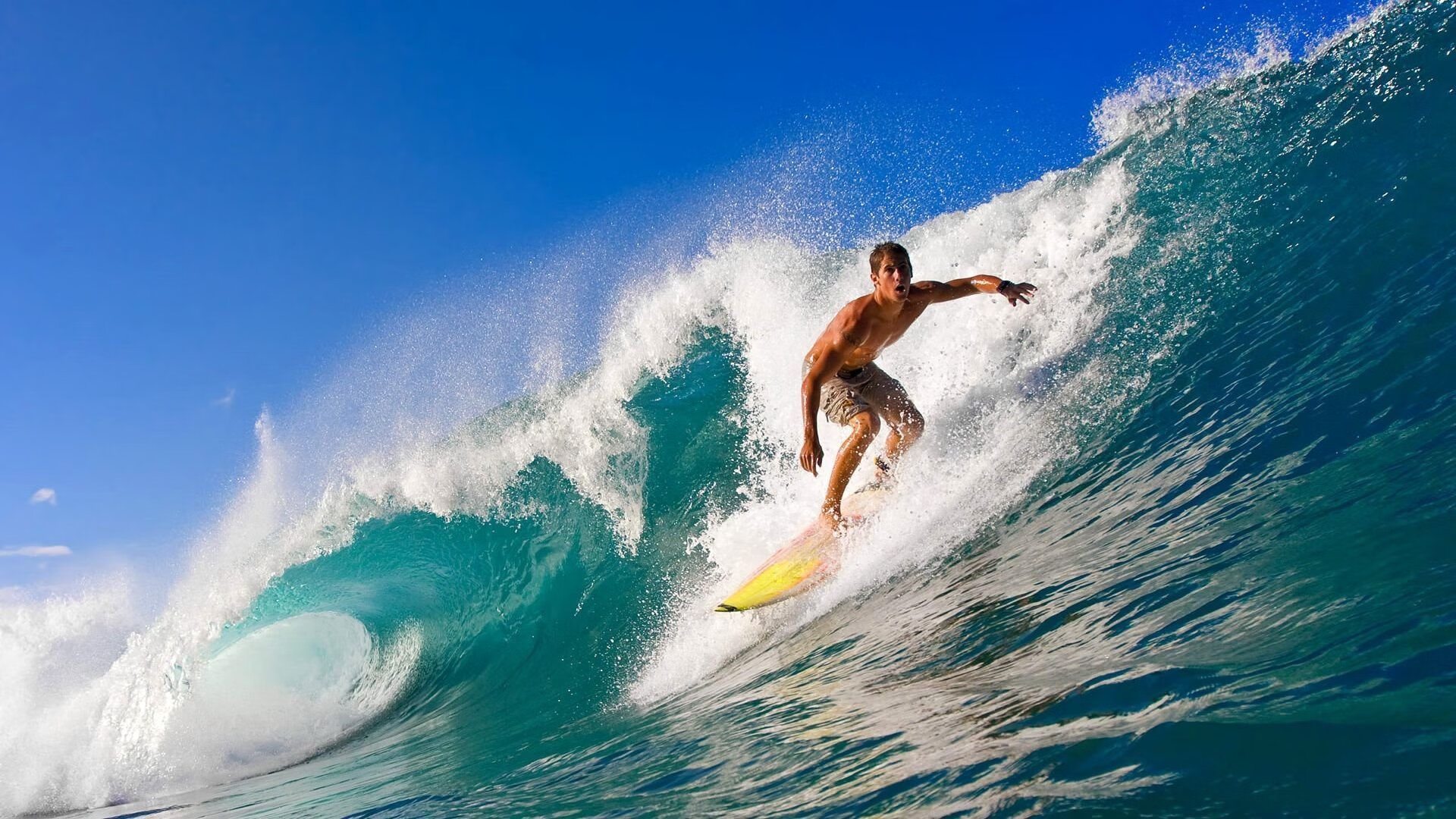 自由泳巅峰对决，新星闪耀泳坛，老将再创传奇